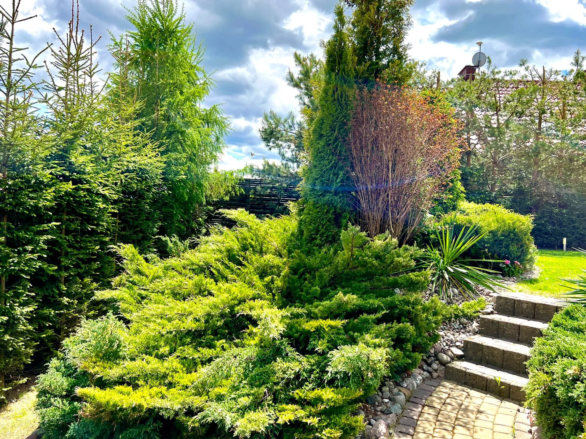 Gwiazda disco polo pochwaliła się wielkim, rajskim ogrodem! Wiemy kto go zaprojektował! Jest wyjątkowy! [ZDJĘCIA]